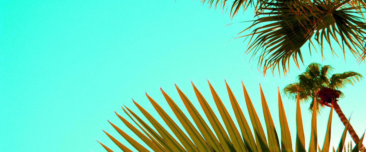 This Month In Greater Palm Springs August 2017