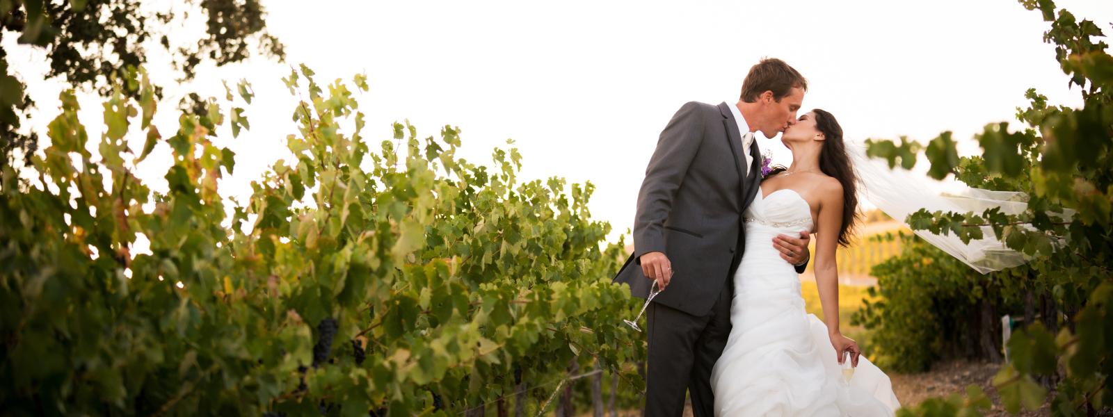 San Luis Obispo County Weddings Venues Licenses More