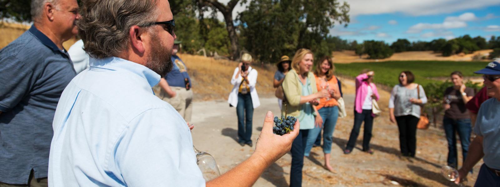 San Luis Obispo Wine Country Vineyards Tasting More