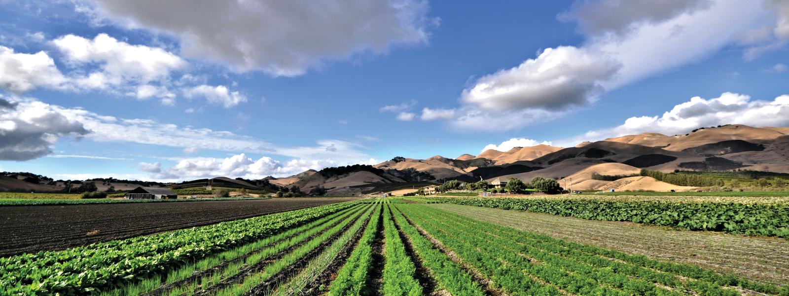 Things To Do In Arroyo Grande Events Amp Beaches