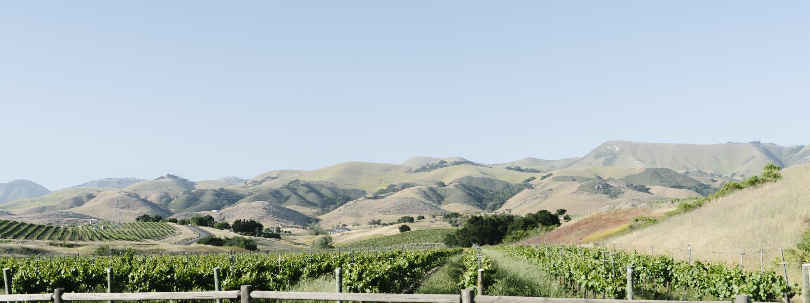 Edna Valley Wineries & Tasting Rooms Vineyards & Wine Tours