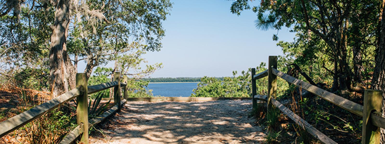 Hidden Gems In Carolina Beach State Parks Amp Sand Dunes