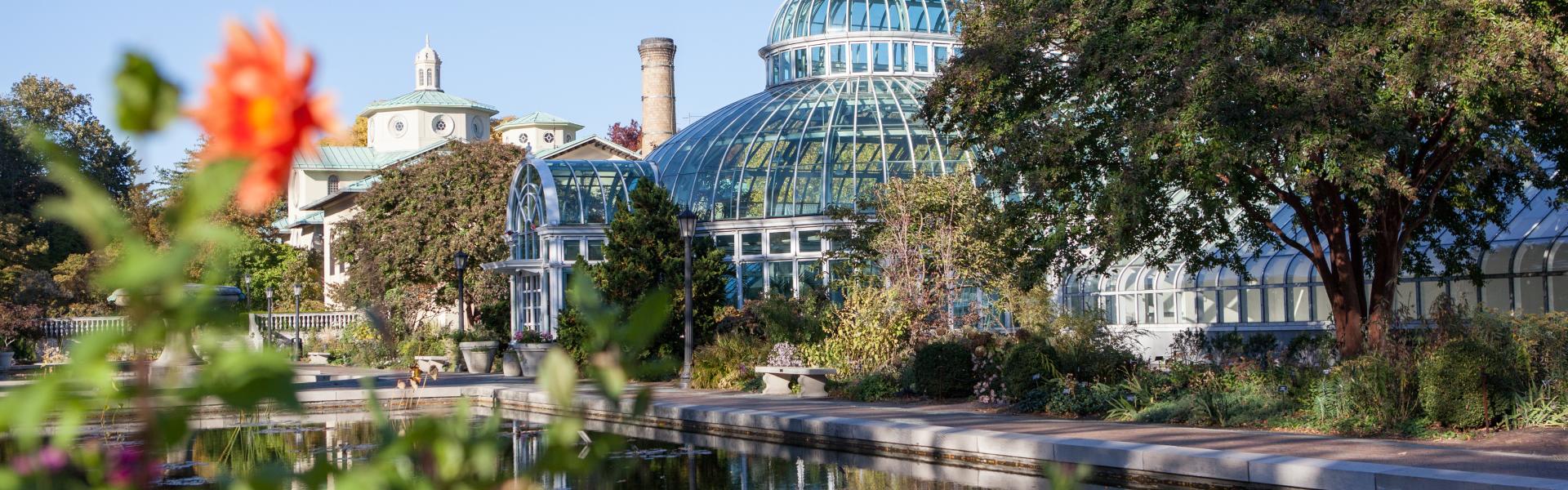 Brooklyn Botanic Garden, Greenhouse, Pond