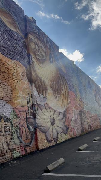 Mural District