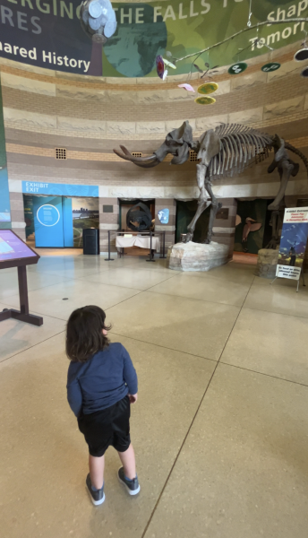 Falls of the Ohio Interpretive Center lobby.