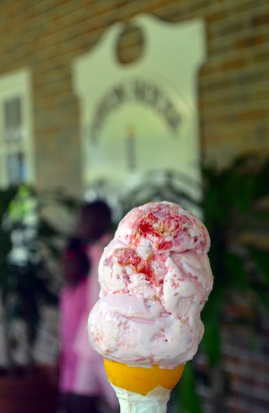 Devon House Ice Cream 2025