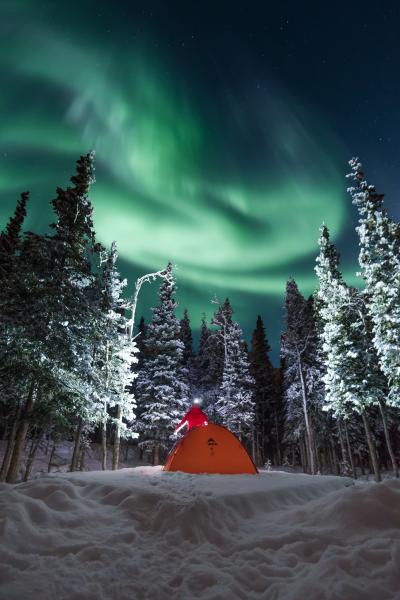 Northern Lights: These spectacular shots capture nature's most beautiful  light show