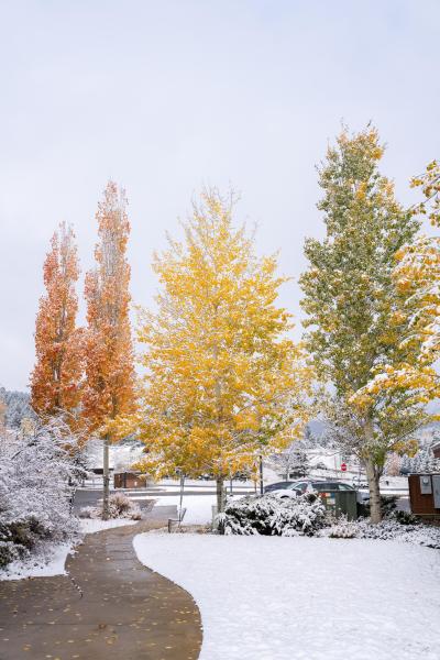 Clash of the Seasons in Big Sky