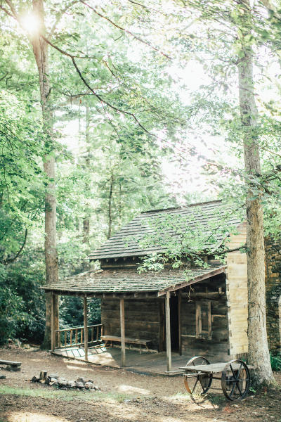 A rustic log cabin is between two tall trees at Hickory Ridge History Museum.