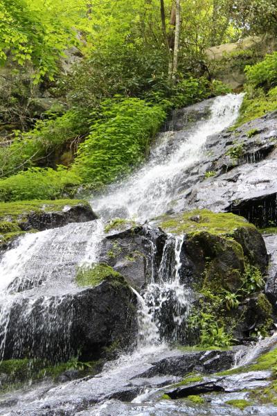 Hen Wallow Falls