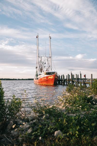 Back Bay Biloxi - Eddie Robinson