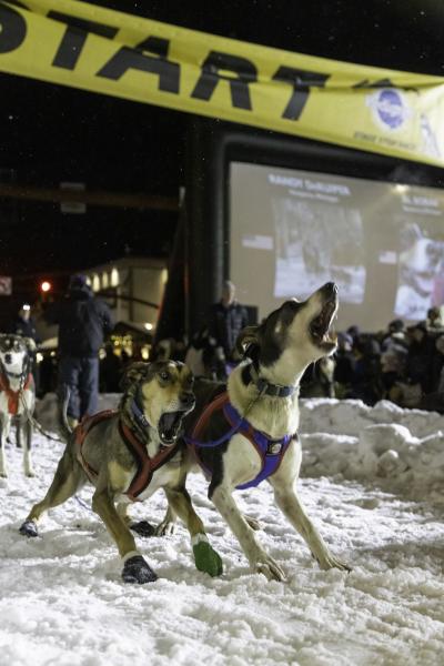 Pedigree Stage Stop Race 2