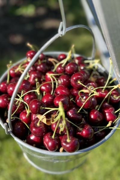 Kuipers Family Fruit Farm
