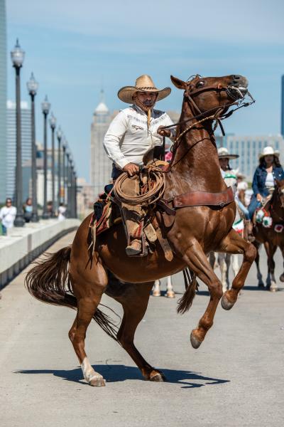 Man riding a horse in the Fiestas de las Americas parade in downtown OKC