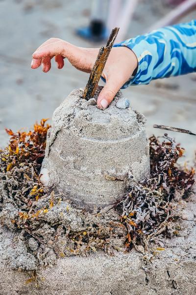 Sandcastle on the beach made with some seaweed.