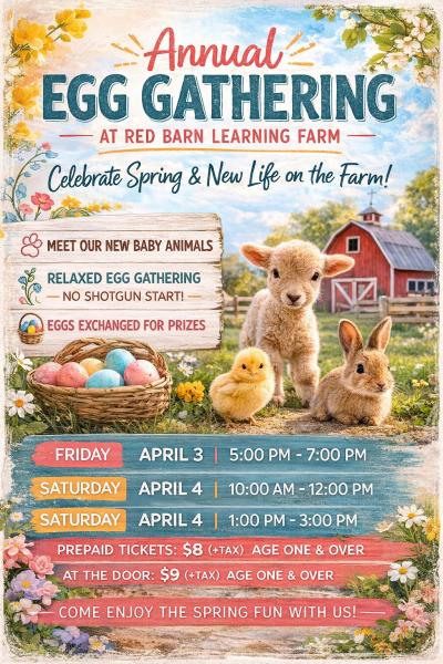 Annual Egg Gathering on the farm