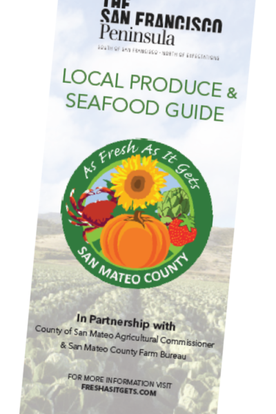 AFAIG Brochure for Web