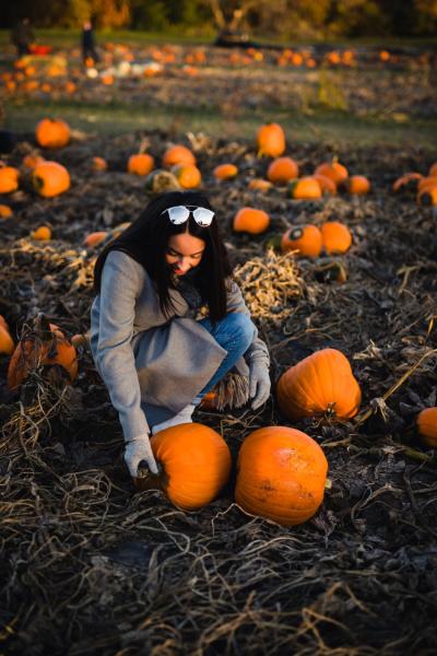 pumpkin picking