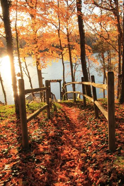 Guist Creek Fall
