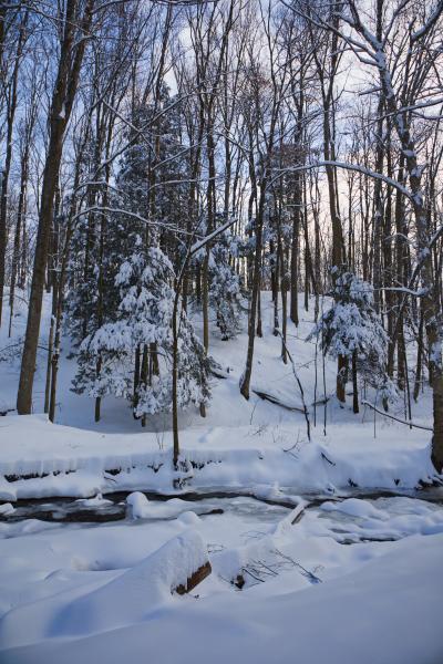 Deep Snow