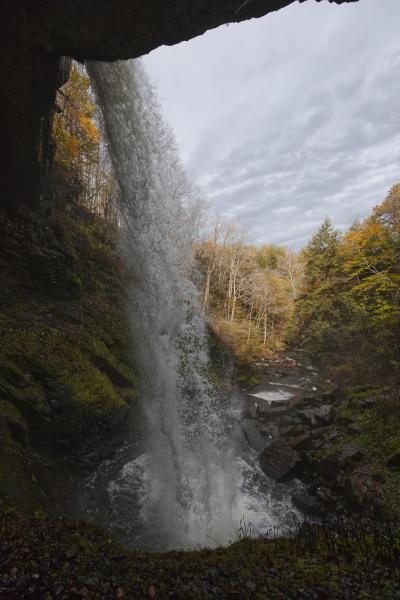 plunge october morning / MBP