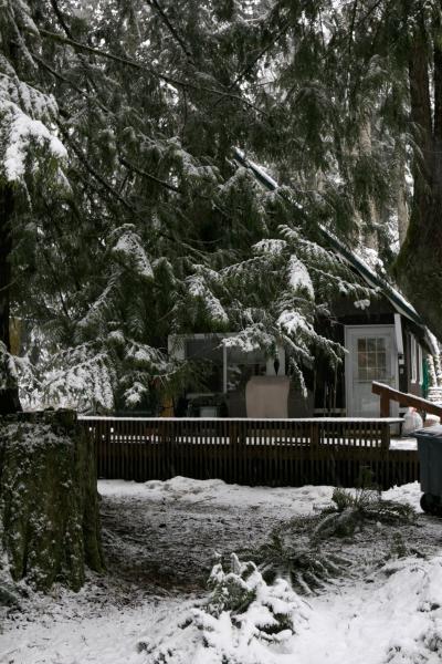 Cabin