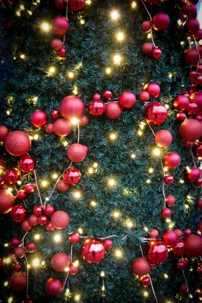 christmas tree lighting