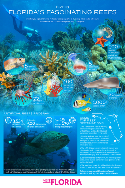 Florida's Fascinating Reefs