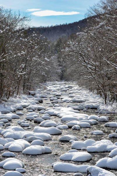 Stony Creek, Winter