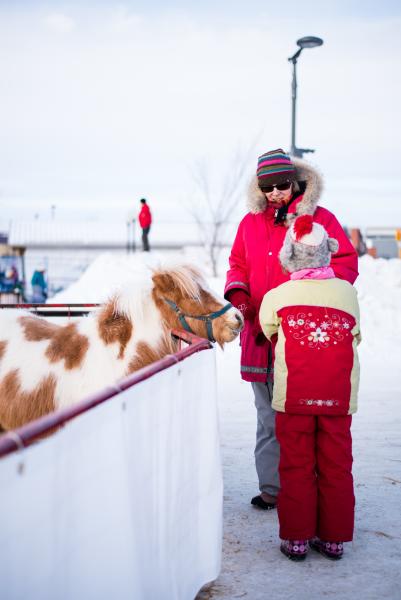 Nutrien-WinterShines-Festival-Petting-Zoo