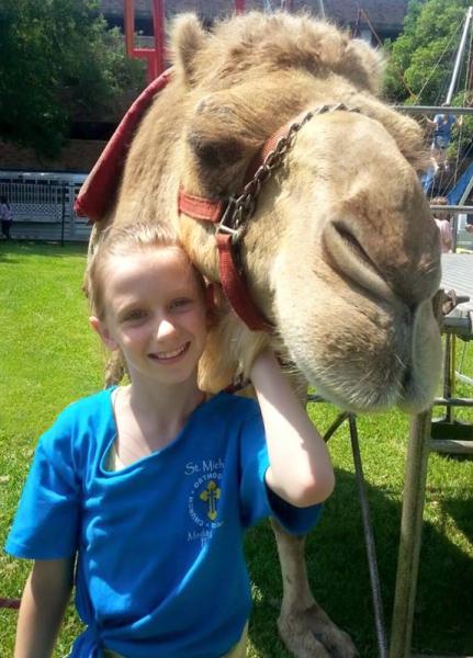 Mediterranean Festival camel rides