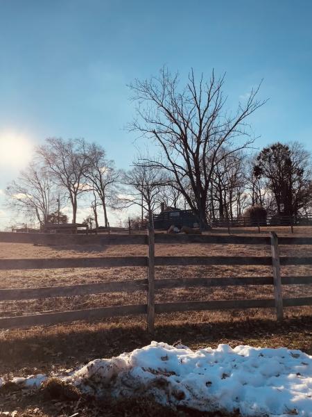 A fence with a snow bank on a farm