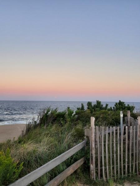 Cape Henlopen State Park