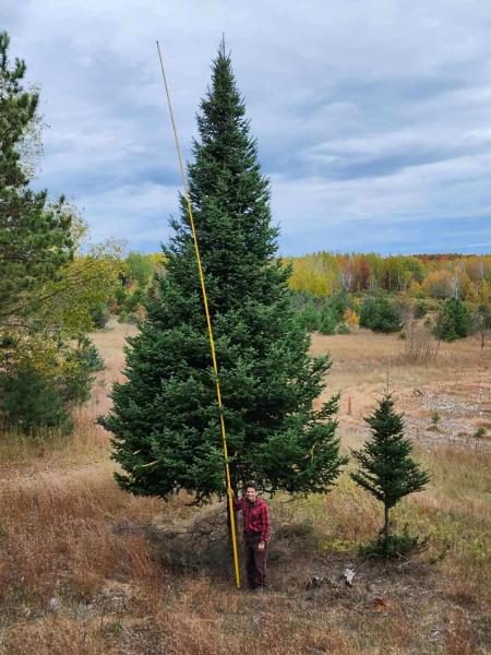 TVHC Tree