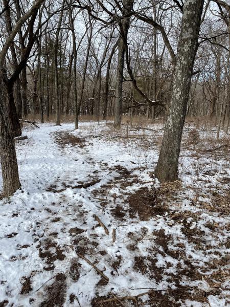 Birding Lawrence Nature Park