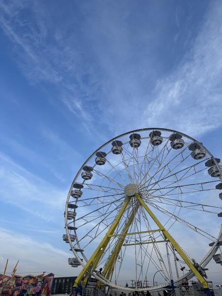 ferris wheel