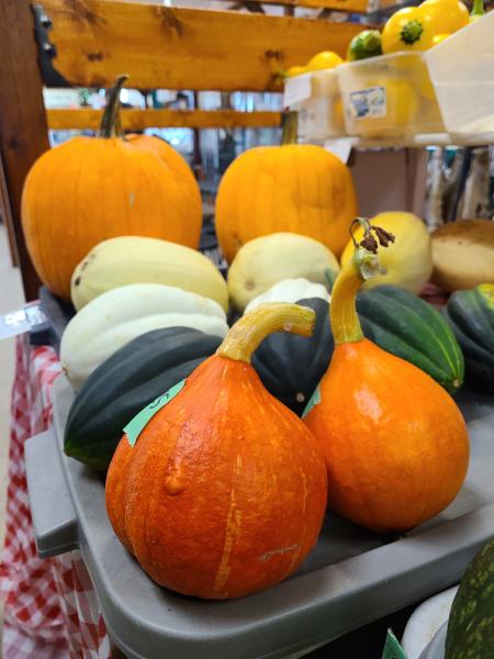 pumkin and squash