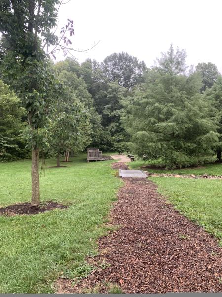 Celery Bog by Purdue Student Kaylee Meyer 2022