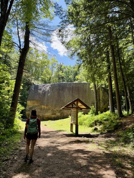 Madison Boulder (Large Boulder in Forest)