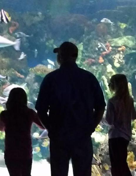 Top 10 Things To Do With Kids In The Myrtle Beach Area Beyond The Beach
