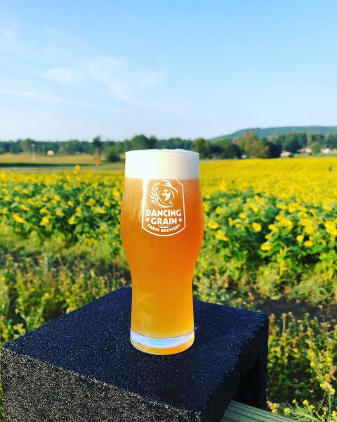 Dancing Grain Brewery