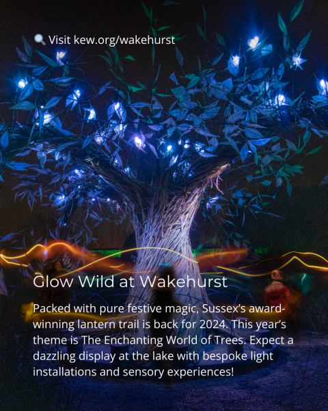 Wakehurst Glow Wild