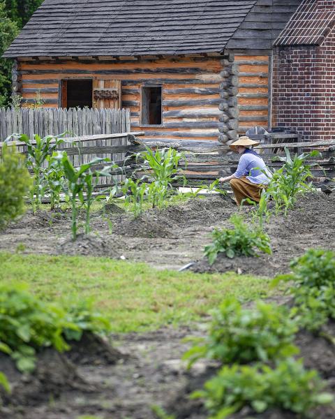 Garden at the American Revolution Museum