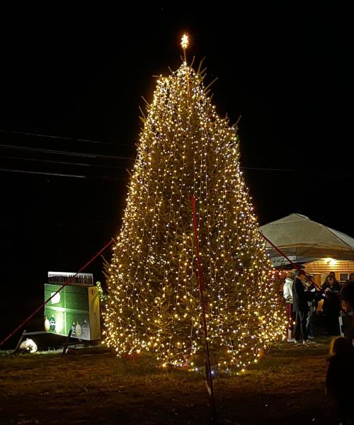 Light Up Georgetown Christmas Tree