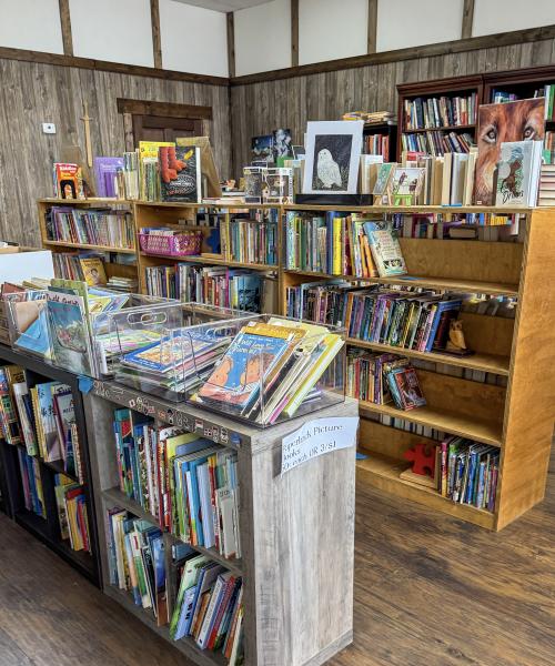Inside a bookstore where rows of books fill the shelves