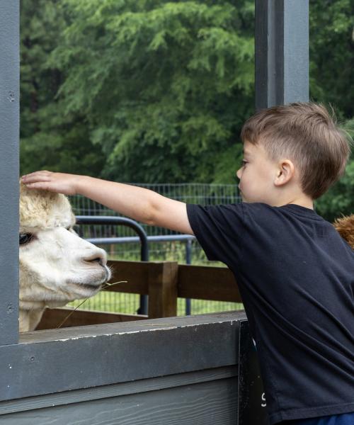 Crandall Bowles Children's Farm 2026