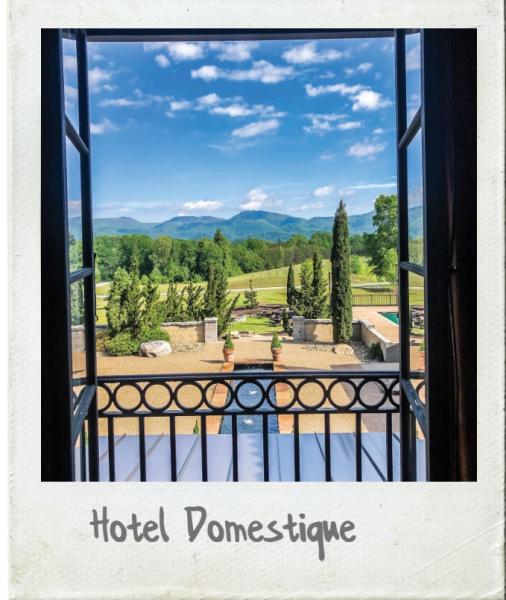 A Polaroid photograph of someone looking out the window towards the Blue Ridge Mountains from Hotel Domestique in Travelers Rest, SC.