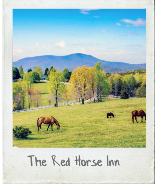 A Polaroid photograph of the horse pasture at Red Horse Inn in Landrum, SC.