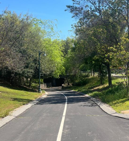 Clovis Trails