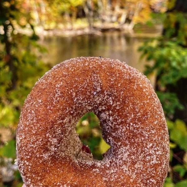 Dexter Cider Mill donut
